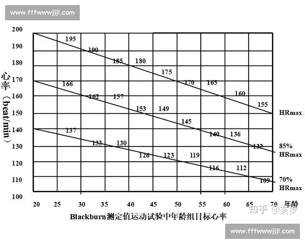 体育数据平台全方位解析运动表现与竞技趋势分析